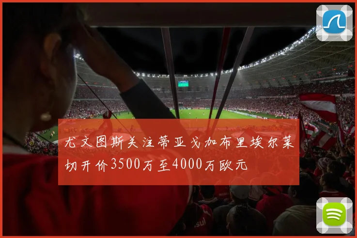 尤文图斯关注蒂亚戈加布里埃尔莱切开价3500万至4000万欧元
