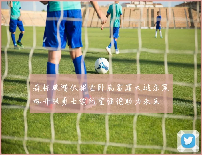 森林狼潜伏掘金卧底雷霆大逃杀策略升级勇士续约霍福德助力未来