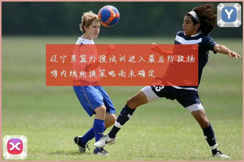 辽宁男篮外援试训进入最后阶段杨鸣内线轮换策略尚未确定